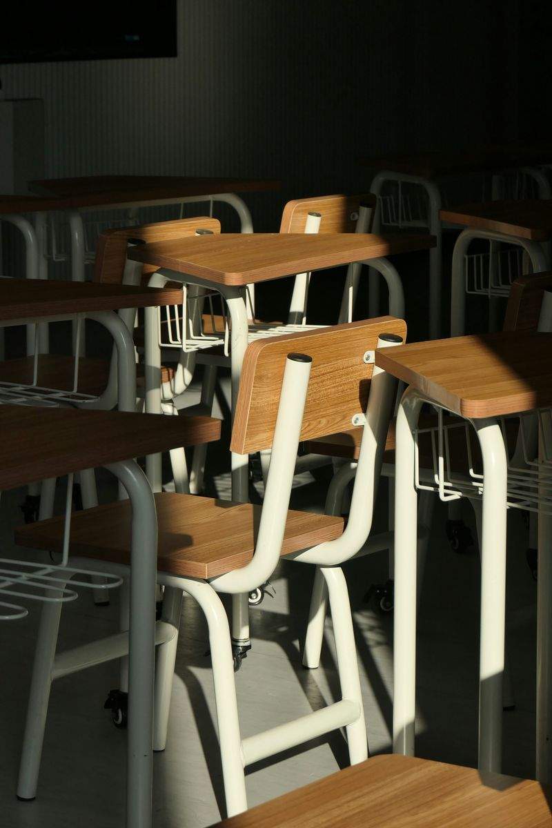 みらい学習アカデミー株式会社 13